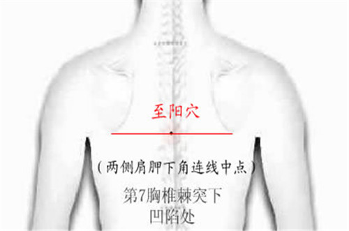 88_副本.jpg