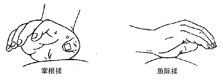 timg (1).jpg