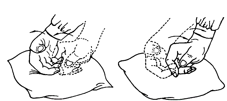 u=599964114,2585880117&fm=26&gp=0.jpg