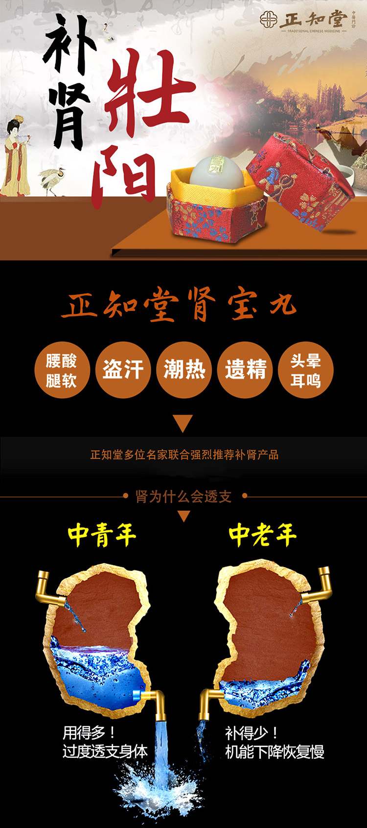 肾宝.jpg