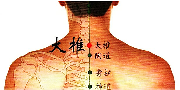 大椎命门_副本.png