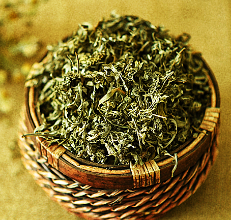 艾草2_副本.png